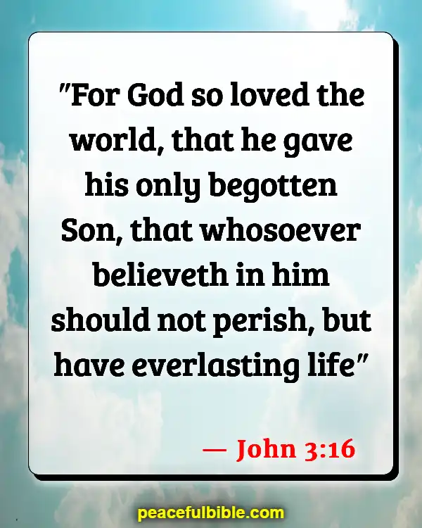 Bible Verses About Celebrating Life After Death (John 3:16)